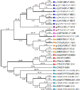 Figure  2.  Phylogenetic  analysis  of  the  spike  (S)  proteins  of  six  coronaviruses