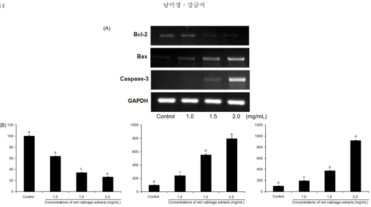 Fig. 5. The effect of red cabbage extract (RCE) on the Bcl-2, Bax, caspase-3 mRNA expression in human breast cancer MDA-MB-231 cells