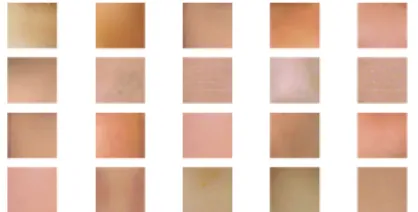 표  2.  채도에  대한  퍼지화  데이터 Table  2.  Fuzzified  data  for  saturation