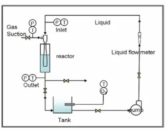 Fig. 5 Variation of dissolved oxygen for  θ =5.0° 