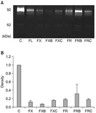 Fig. 3. Gelatinolytic matrix metalloproteinase (MMP) activity in the  SW480 cell line detected by quantitative zymography