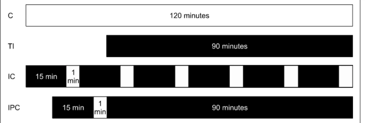 Fig. 1. Experimental design. The white area represents reperfusion time, and the black area represents ischemia time