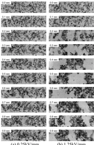 Fig. 6 the average size of the steady-state clusters at low  flow velocity 