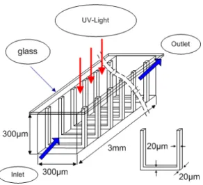 Fig. 1 Geometry of microreactor with no bump. 는 사람에게 직접적으로 신경계 장애를 일 VOC 으킬 수 있고 암을 유발할 수 있는 해로운 물질 이며 오존을 파괴하는 원인물질로도 작용한다