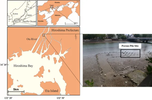 Fig. 1. Location of study area and picture of experimental site after the installation of porous pile.