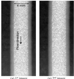 Fig. 5   Two consecutive X-ray images of tracer particles  