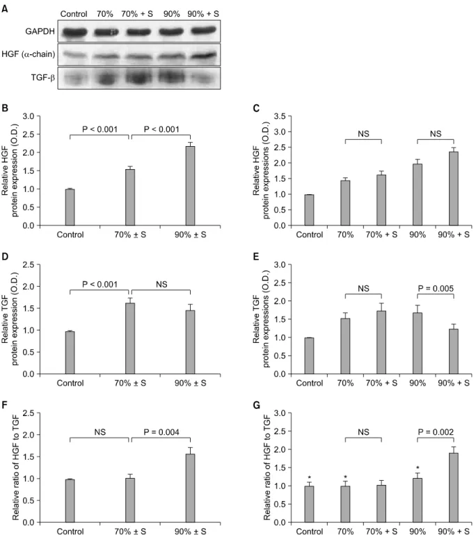 Fig. 3. Western blot analysis of hepatic growth factor (HGF) and transforming growth factor-β (TGF-β)