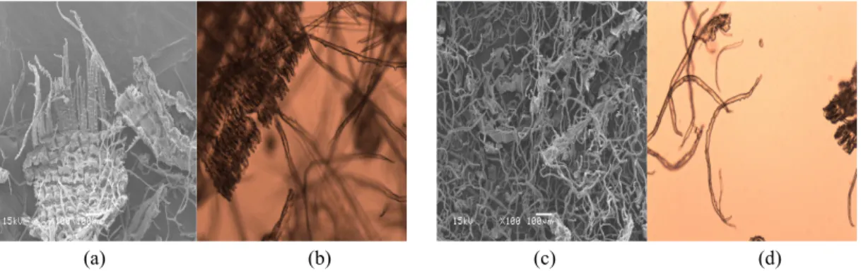Fig.  4.  Fiber  images  of  rice  husk  pulp  as  a  function  of  pulping  conditions