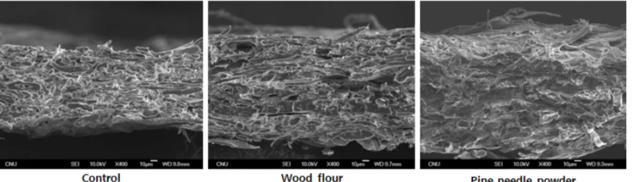 Fig.  4.  SEM  image  of  the  cross-section  of  handsheet  paper  samples. 