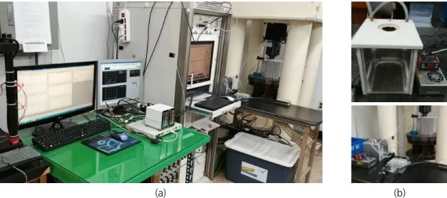 Fig. 2. Test for Mazars damage model