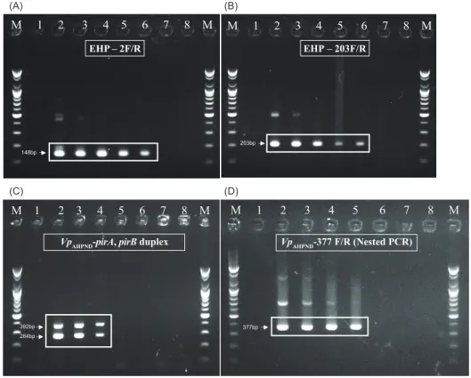 Table 3. PCR result of the specificity test