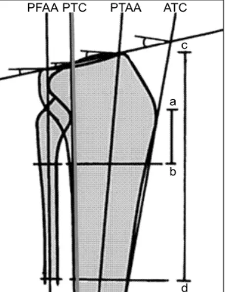 Fig. 1. The picture shows various methods of determining 