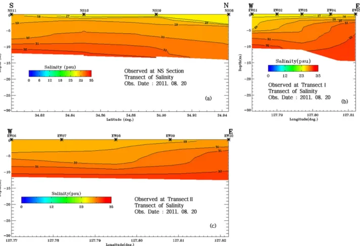 Fig. 7. Transects of salinity along (a) north-south and (b) Transect I and (c) Transect II by Model Run S10TDA.