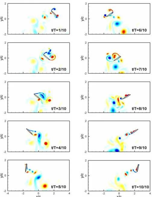 Fig. 2  Time evolution of vorticity field around the wing during one cycle of flapping motion; α=0˚ (contours  between -10 and 10) 
