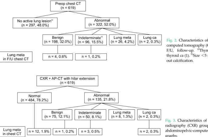 Fig. 2.  Characteristics of the chest  computed tomography (CT) group. 