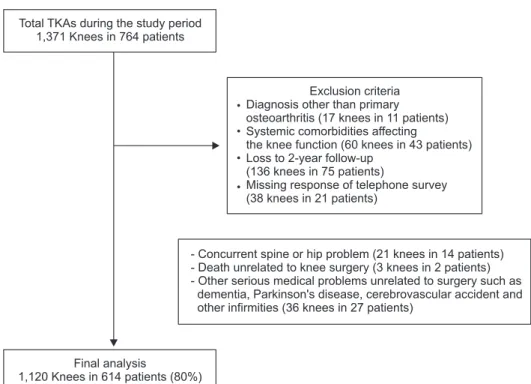 Fig. 1. Flowchart showing patient enrol­