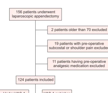 Fig. 1. Flowchart on patient selection. VAS = Visual analogue scale.