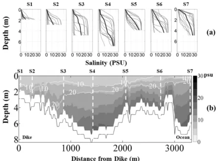 Fig. 15. Hourly vertical profiles of salinity for 13 hours (thin line in (a)) and vertical profile of tidal period-averaged salinity (thick line in (a)), and longitudinal distribution of tidal period-averaged salinity (b) along the Line 3