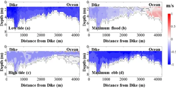 Fig. 5. The along-channel velocity at (a) low tide, (b) maximum flood, (c) high tide, (d) maximum ebb along the Line 2