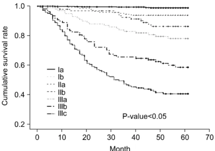 Fig.  5.  Survival  curves  of  patients  according  to  TNM  stage  of  UICC/AJCC  6 th .