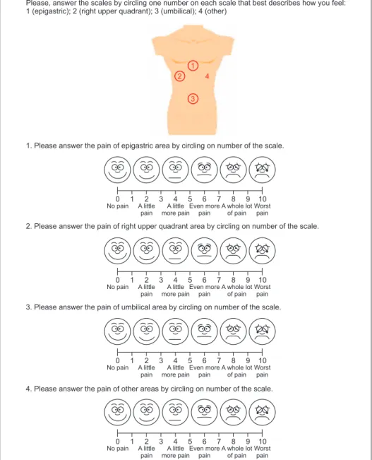 Fig. 2. Postoperative pain questionnaire  consisting of four areas (English version).