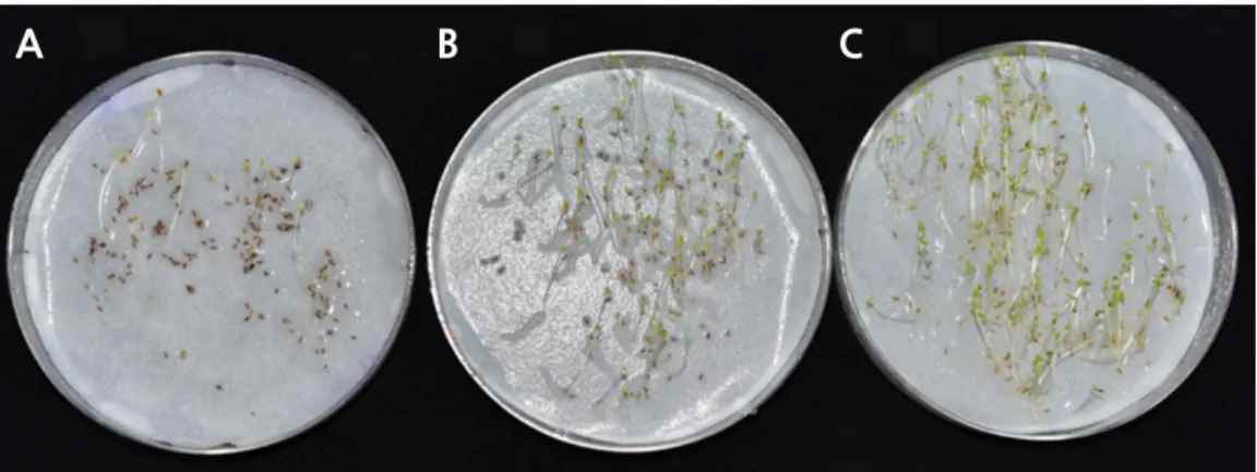 Fig. 3. Differences in the germination rates of Artemisia dubia seeds after different periods of storage
