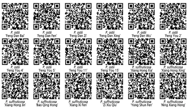 Fig. 3. DNA fingerprinting QR codes.