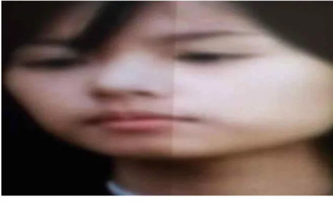 그림  15.  30인치  LCD  TV의  결과영상2 Fig.  15.  Result  image  2