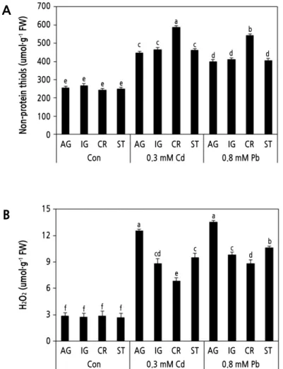 Fig. 4. Effects of Cd and Pb on the concentrations of nonprotein thiols (A) and H 2 O 2  (B)