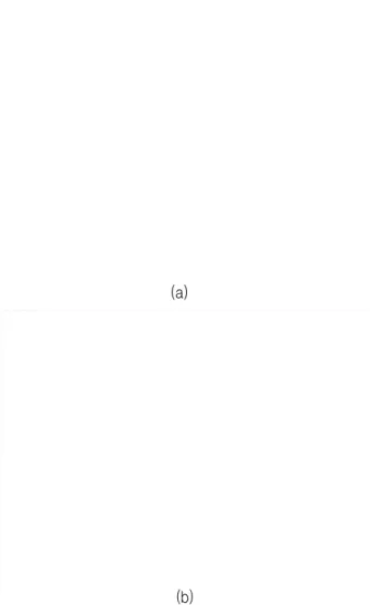 그림 4는 소광비가 각각 5 dB, 10 dB, 20 dB인 16 채널 WDM  시스템에 전통적 MSSI 기술이 적용된 경우 입사 ( 입력) 광 전력에 따른 전체 채널들의 EOP를 나타낸 것 이다
