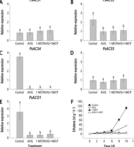 Fig. 4. Effect of AVG and 1-MCP treatments on the transcript levels of PsACS1 (A), PsACS3 (B), PsACS4 (C), PsACS5 (D),  PsACO1 (E), and ethylene production (F) in plum fruit on day 6 of the storage in the dark at 20 ± 1°C and 60 ± 2% relative  humidity