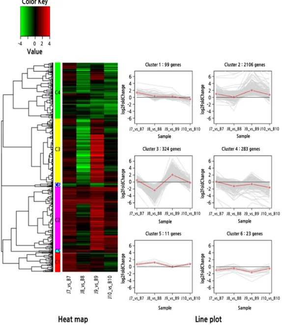 Fig. 5. Heat map and line plot for clustering differentially expressed genes (DEGs) set II