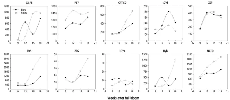 Fig. 7. Expression pattern of the carotenoid biosynthesis genes at different stages of fruit development of the late-ripening persimmon  cultivar ‘Fuyu’ and early-ripening ‘Soshu’