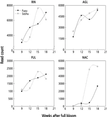 Fig. 8. Expression pattern of the ripening-related transcription factors at different stages of fruit development of the  late-ripening persimmon cultivar ‘Fuyu’ and early-ripening ‘Soshu’