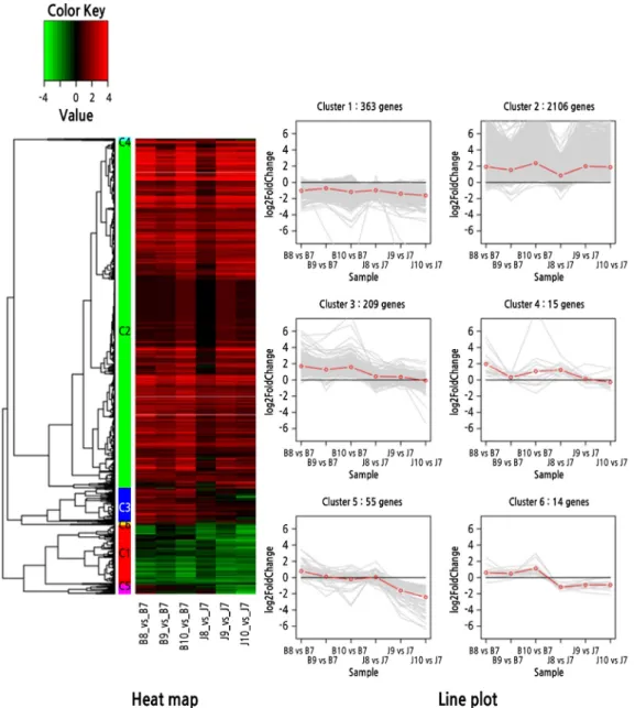 Fig. 4. Heat map and line plot for clustering differentially expressed genes (DEGs) set I