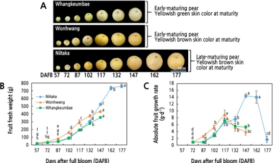 Fig. 1. Seasonal changes in pear fruit development (A), fruit fresh weight (B), and absolute fruit growth rate (C) in three  Asian pear cultivars having different maturity periods during fruit development and ripening