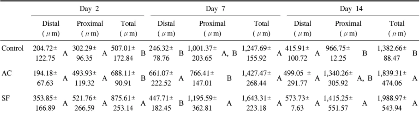 Table  3.  Expression  of  Ki-67  in  regenerating  epithelium.