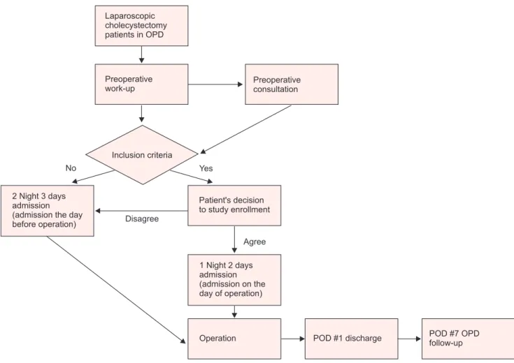 Fig. 1. Protocol of critical pathway of laparoscopic cholecystectomy.