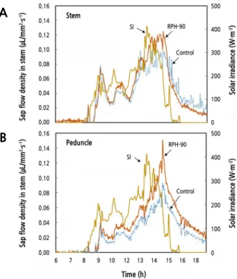 Fig. 5. Representative images hourly sap flow rate in stem (A) and peduncle (B) under the root-zone heating at 19°C 근권 조기가온에 따른 물관수액흐름속도 변화 