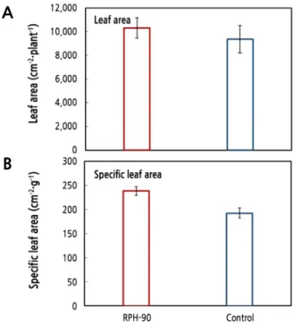 Fig. 7. Leaf area (cm 2 ) per plant (A) and specific leaf area (cm 2 ·g -1 ) (B) under the root-zone heating at 19°C prior to sunrise  (RPH-90) or 13°C (Control) with the ISR-automated irrigation