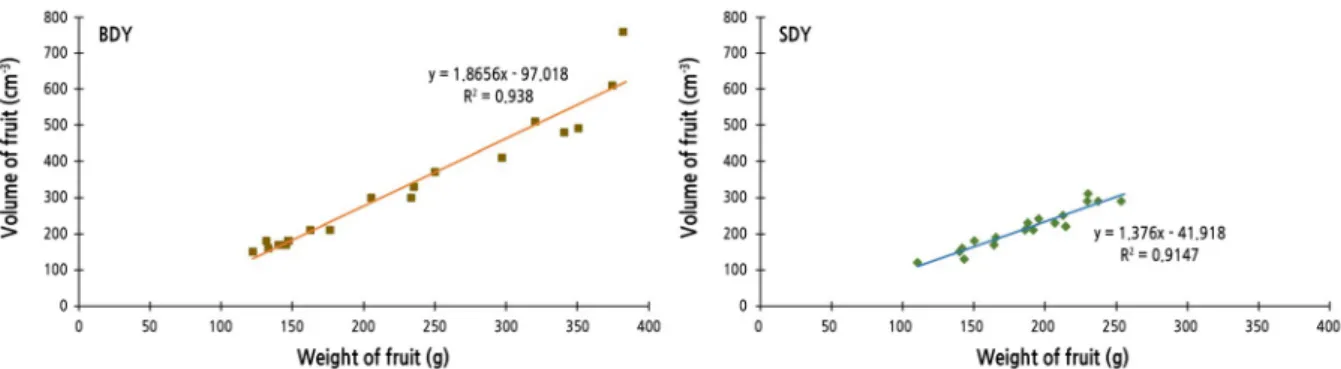Fig. 2. Relationship between volume of fruit and fruit weights of buk-daengyooza (BDY) and seol-daengyooza (SDY).