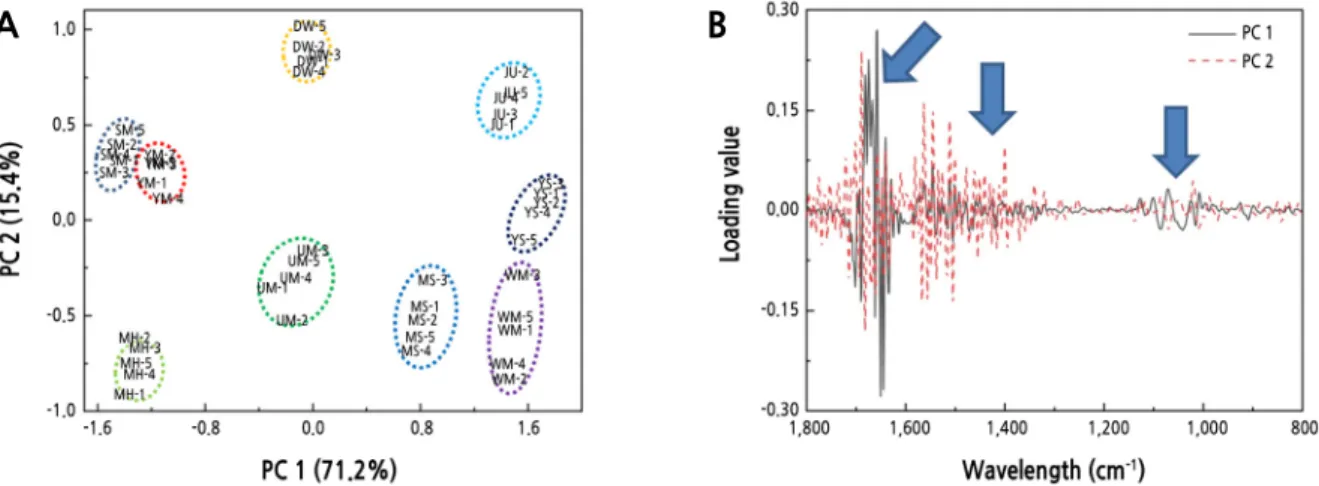 Fig. 2. PCA scores (A) and loading values plot (B) of PCA scores from FT-IR data of peach leaves
