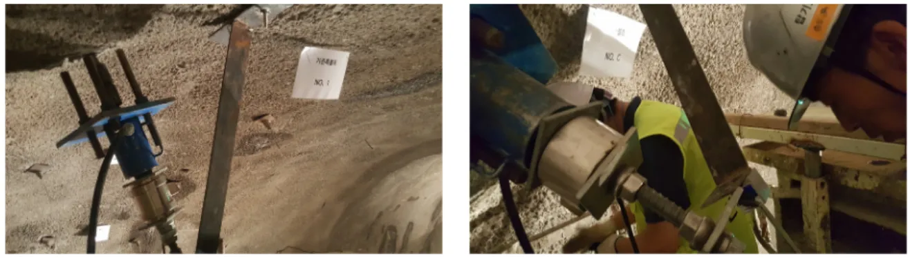 Fig. 9. Pull-out Test of Field