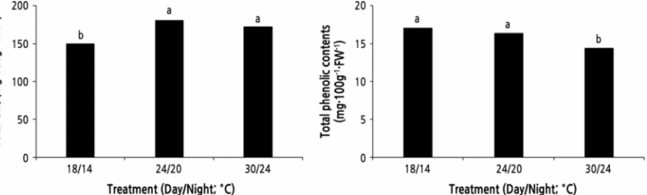 Fig. 2. Effect of growth temperature on total chlorophyll (Chl) and total phenolic content of Peucedanum japonicum Thunb