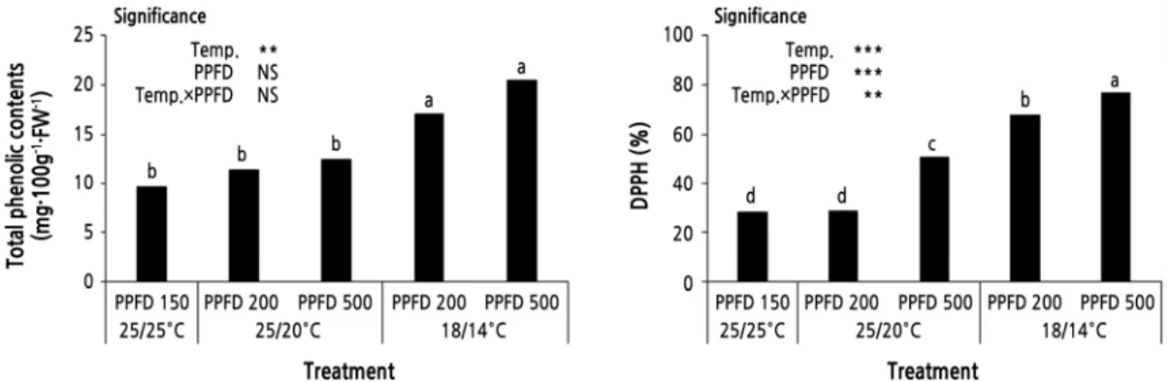 Fig. 3. Effects of low temperature and short-term high light intensity on total phenolic content and free radical activity  (DPPH) of Peucedanum japonicum Thunb