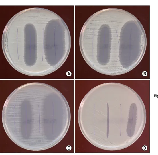 Table  1.  In  vitro  diffusion  from  2-0  Vicryl  with  triclosan  and  2-0  PDS  with  triclosan