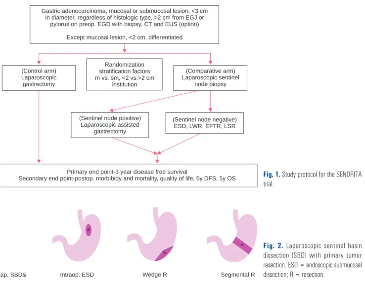 Fig. 1. Study protocol for the SENORITA  trial.