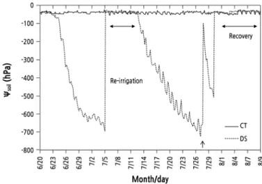 Fig. 1. Change in soil water potential (Ѱ soil ) during the control (CT) and drought stress (DS) treatments
