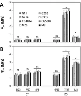 Fig. 3. Changes in predawn (A) and midday (B) leaf water potential of 1-year-old ‘Fuji’ apple trees grafted on various  rootstocks during the control (CT) and drought stress (DS) treatments on June 23 (before drought), July 27 (17th day after  re-irrigatio