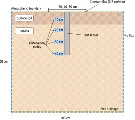 Fig. 2. Boundary conditions and observing node locations used in HYDRUS-2D simulations.